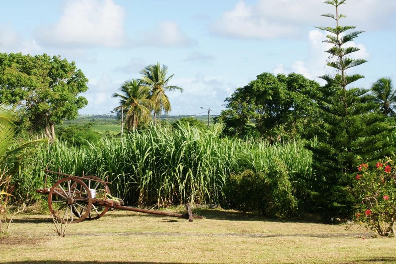 Au Jardin De Beausejour Hotel Capesterre Kültér fotó