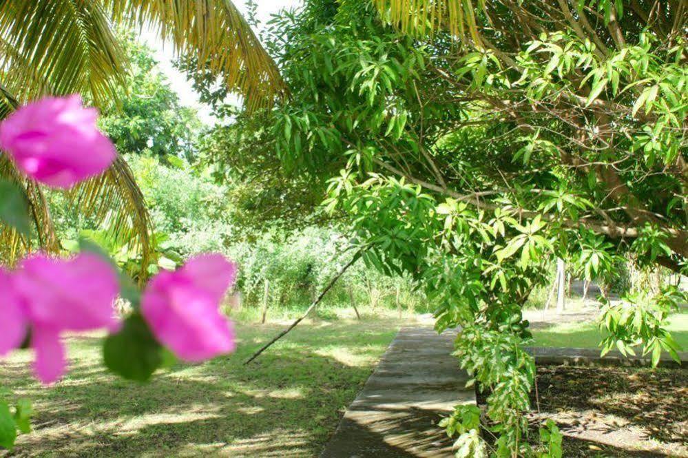 Au Jardin De Beausejour Hotel Capesterre Kültér fotó